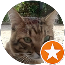 。。 profile picture